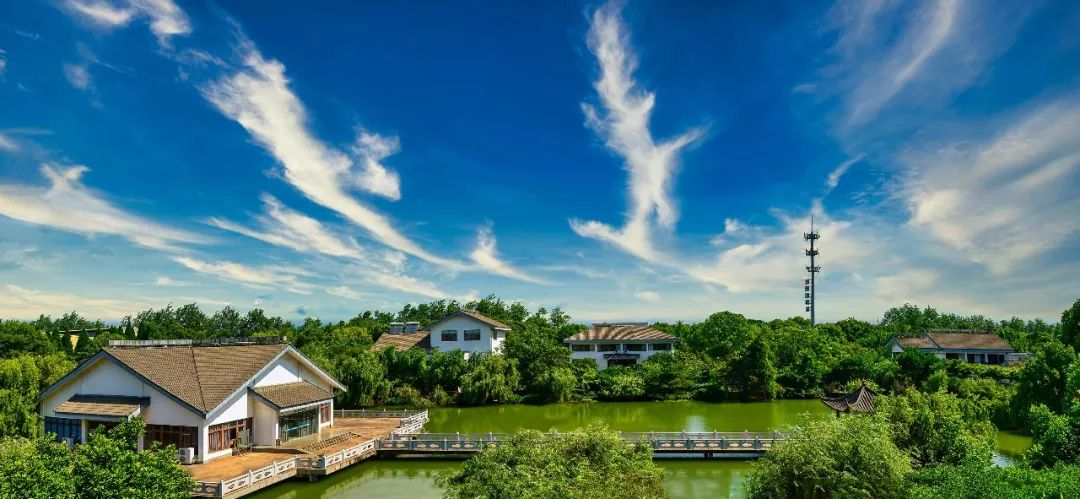 彩神vll官网·(中国)首页大厅