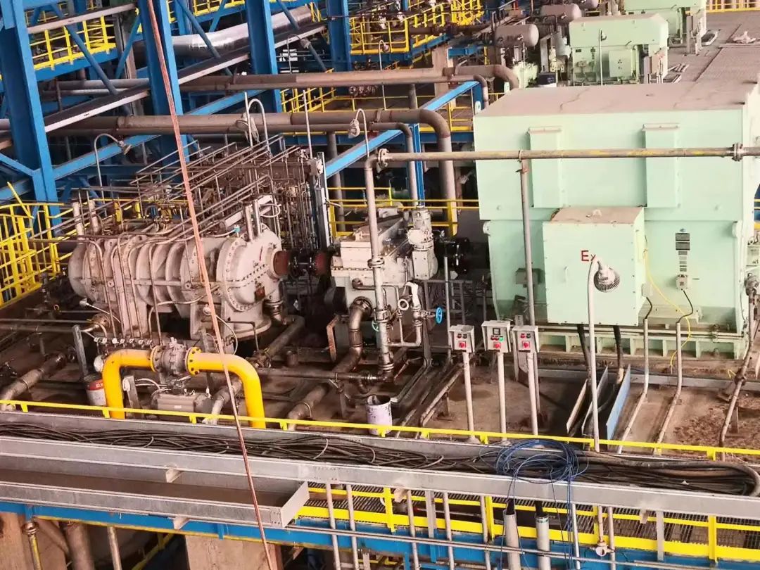 彩神vll官网·(中国)首页大厅